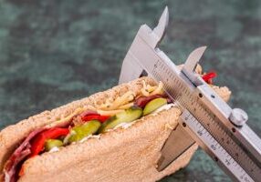 diet-695723_1920